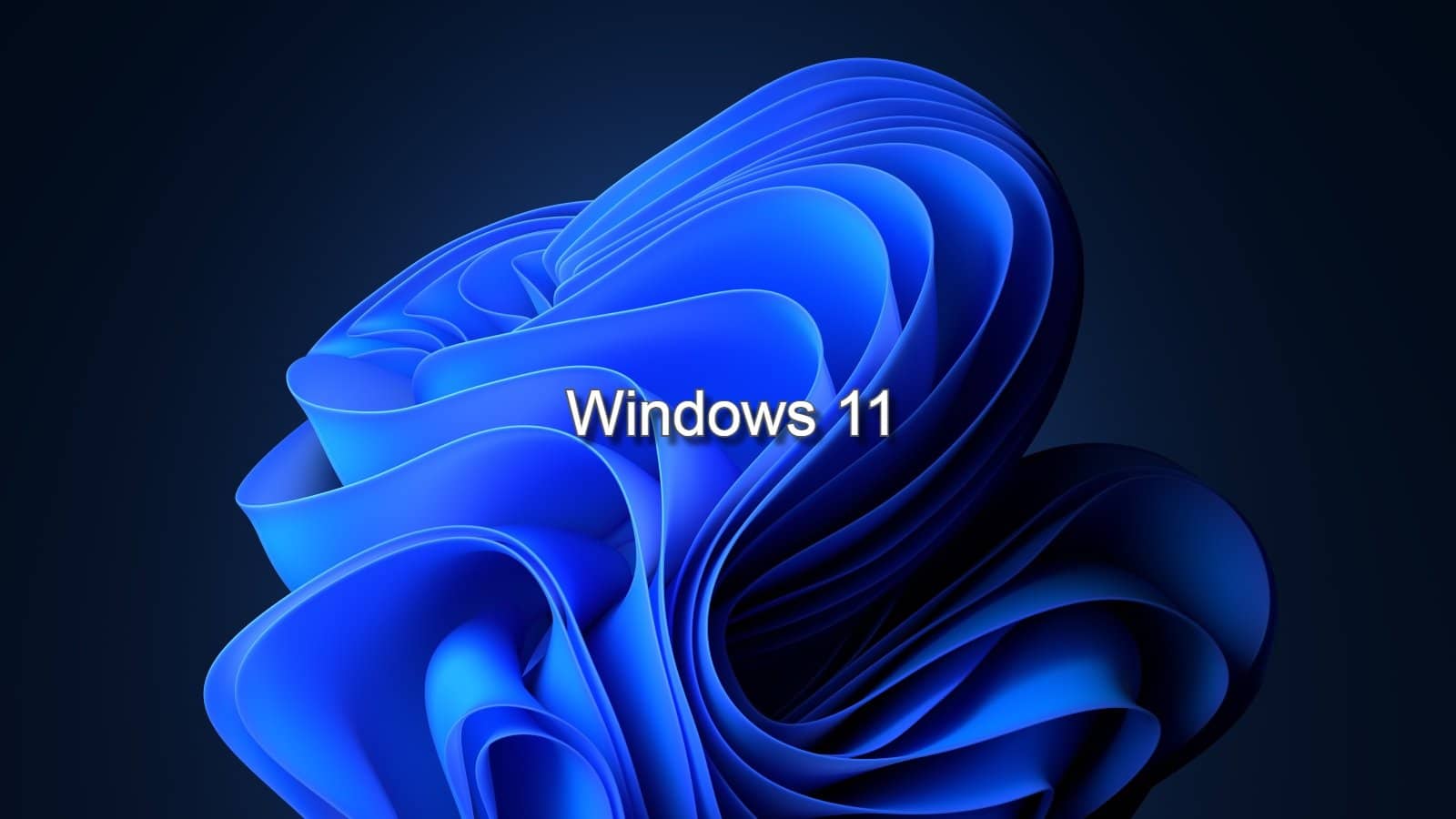 أنواع Windows 11